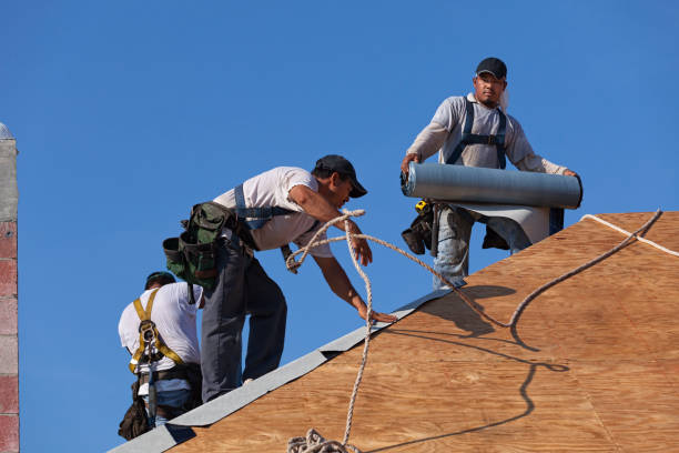 Best Roof Waterproofing Services  in Mantua, VA