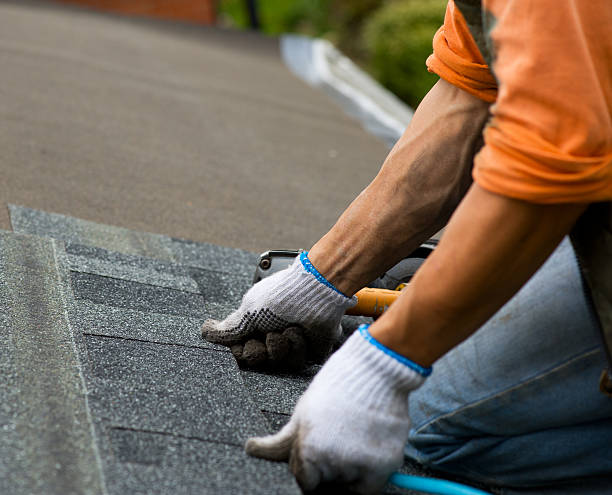 Best Roof Leak Repair  in Mantua, VA